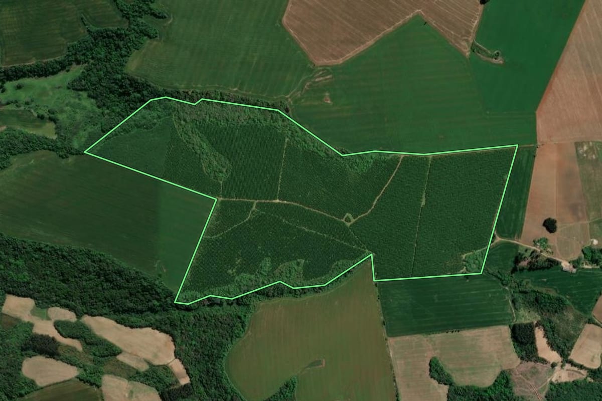 Imagem de satélite do imóvel rural em Guamiranga (PR), com o contorno declarado no CAR desenhado por cima.