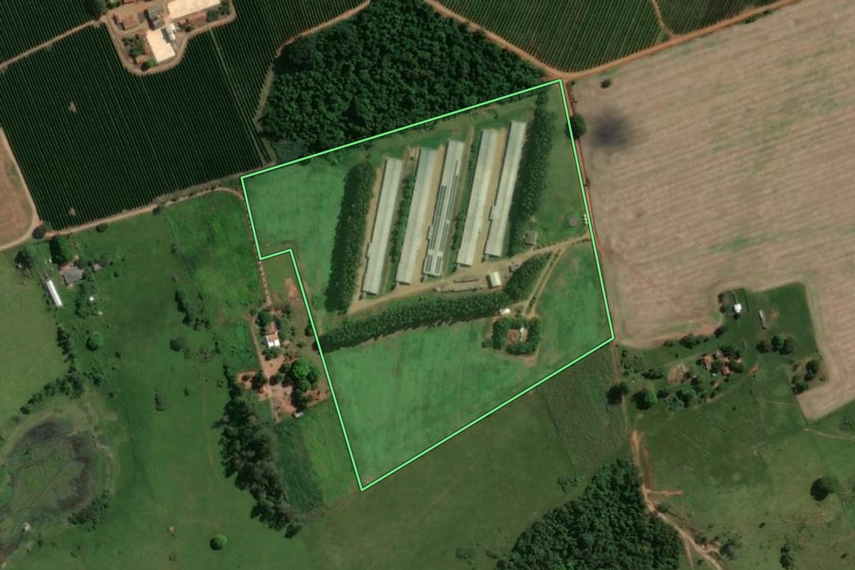 Imagem de satélite do imóvel rural em Guapirama (PR), com o contorno declarado no CAR desenhado por cima.