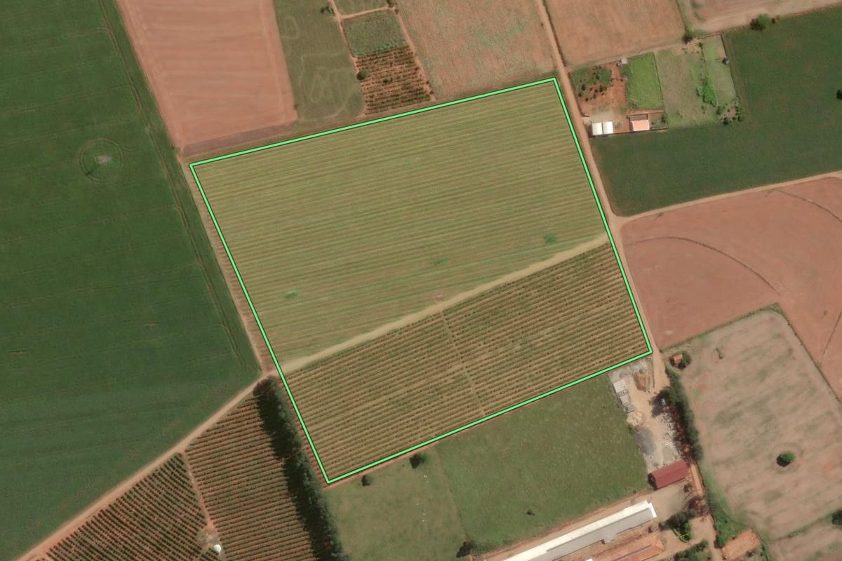 Imagem de satélite do imóvel rural em Guapirama (PR), com o contorno declarado no CAR desenhado por cima.