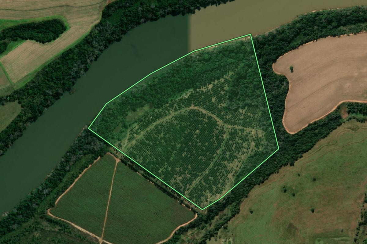 Imagem de satélite do imóvel rural em Guaporema (PR), com o contorno declarado no CAR desenhado por cima.