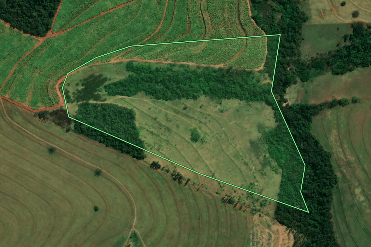 Imagem de satélite do imóvel rural em Guaraci (PR), com o contorno declarado no CAR desenhado por cima.