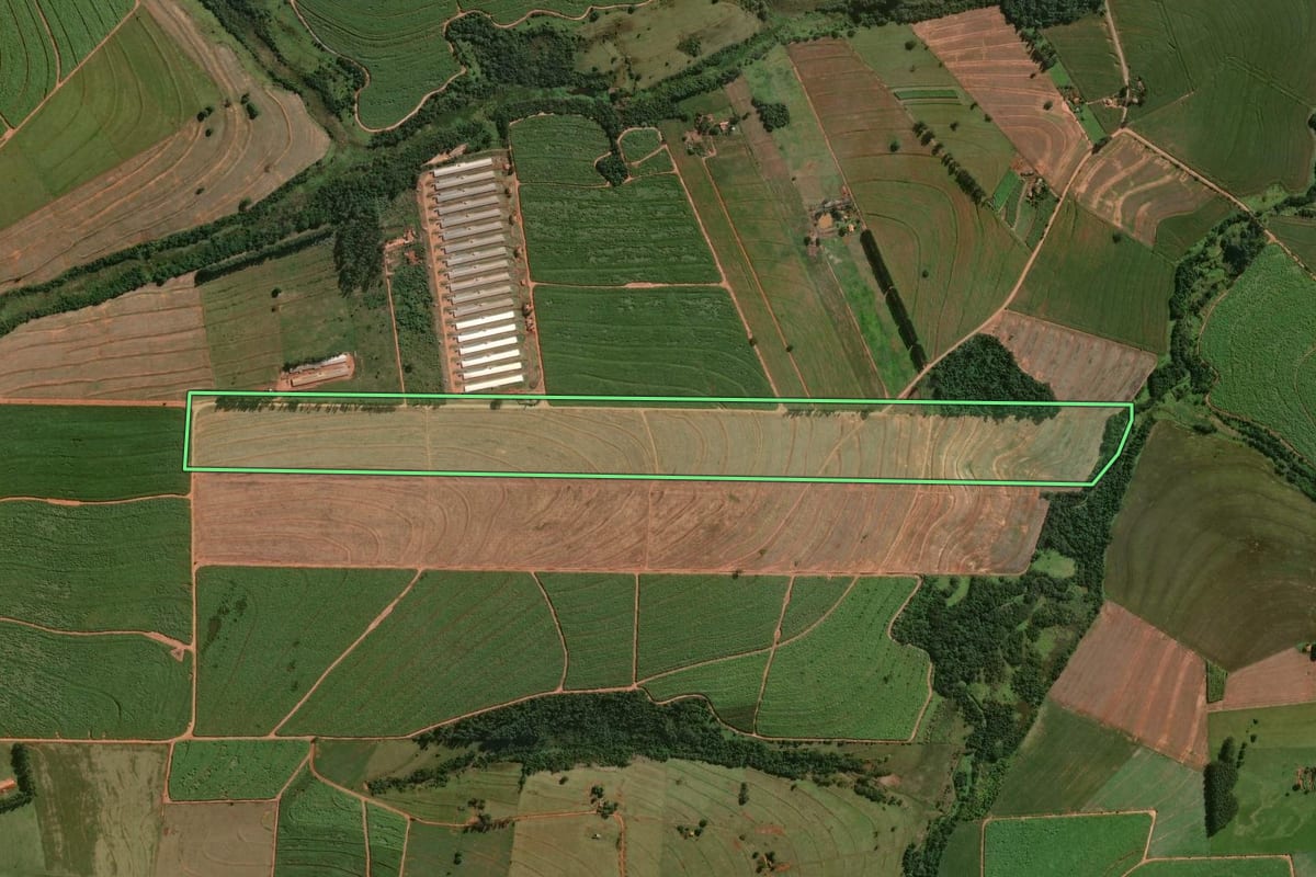 Imagem de satélite do imóvel rural em Guaraci (PR), com o contorno declarado no CAR desenhado por cima.