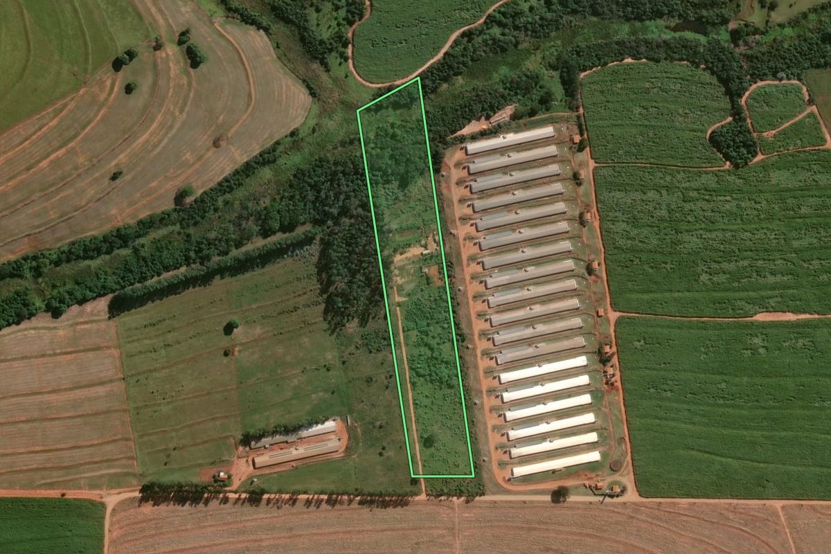 Imagem de satélite do imóvel rural em Guaraci (PR), com o contorno declarado no CAR desenhado por cima.