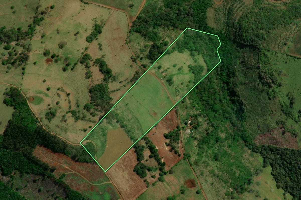 Imagem de satélite do imóvel rural em Guaraniaçu (PR), com o contorno declarado no CAR desenhado por cima.