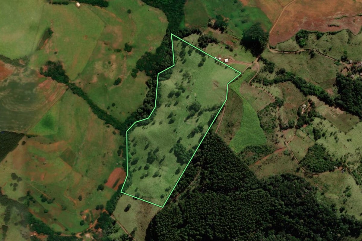 Imagem de satélite do imóvel rural em Guaraniaçu (PR), com o contorno declarado no CAR desenhado por cima.