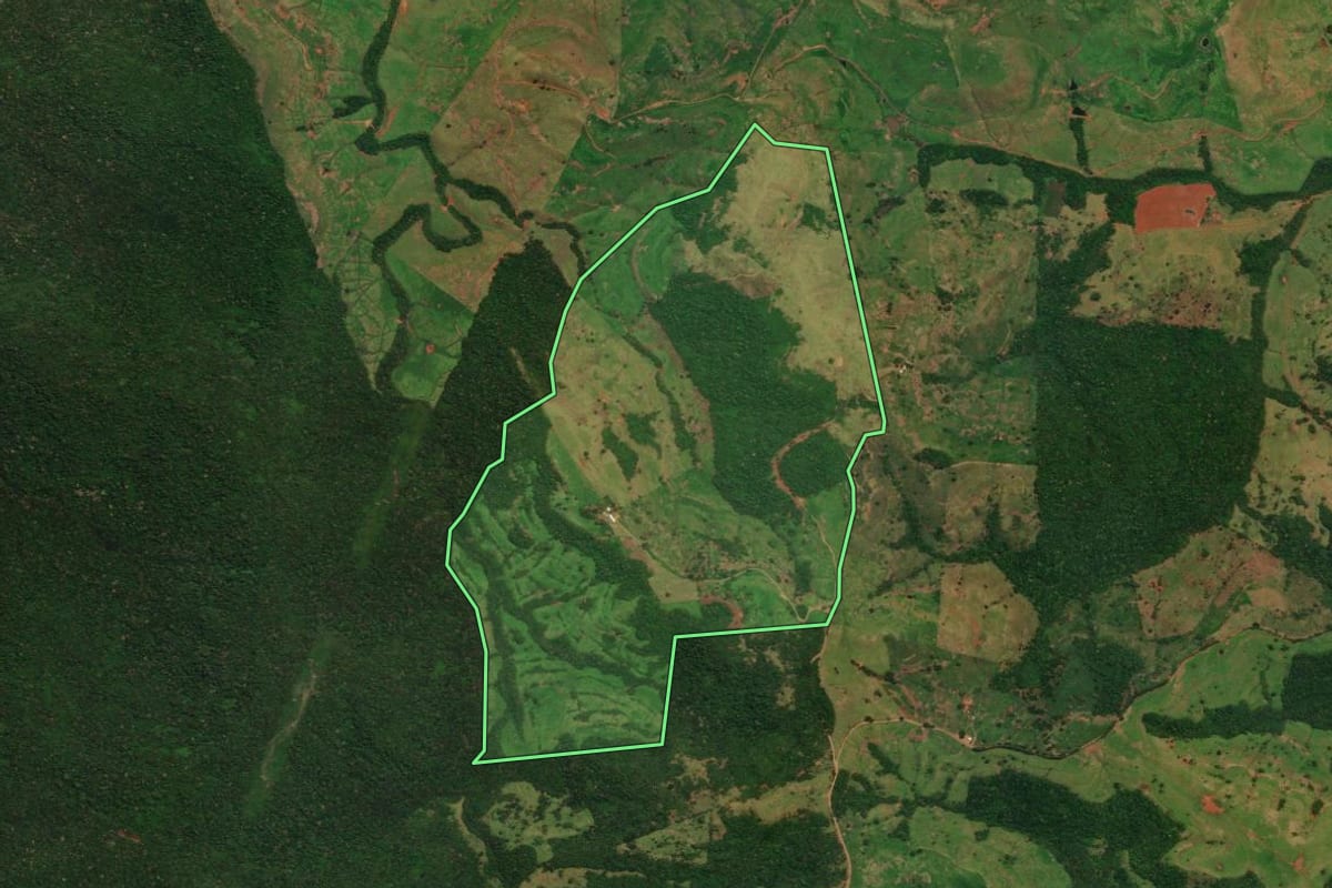 Imagem de satélite do imóvel rural em Guaraniaçu (PR), com o contorno declarado no CAR desenhado por cima.