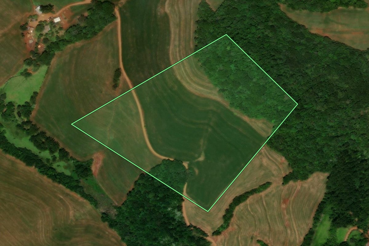 Imagem de satélite do imóvel rural em Guaraniaçu (PR), com o contorno declarado no CAR desenhado por cima.