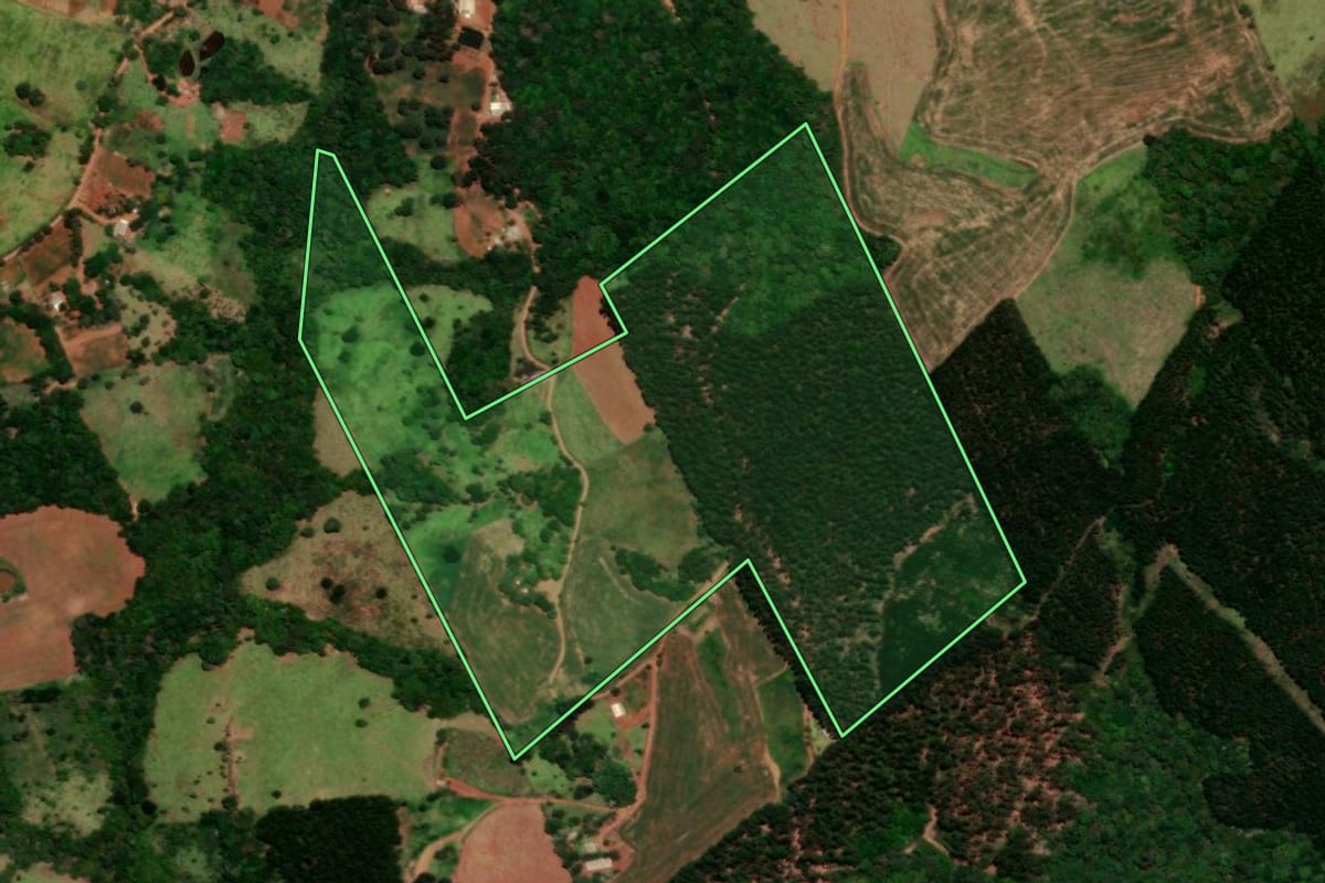Imagem de satélite do imóvel rural em Guaraniaçu (PR), com o contorno declarado no CAR desenhado por cima.