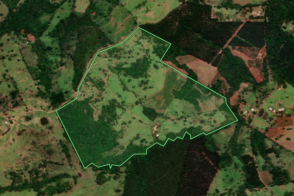 Imagem de satélite do imóvel rural em Guaraniaçu (PR), com o contorno declarado no CAR desenhado por cima.