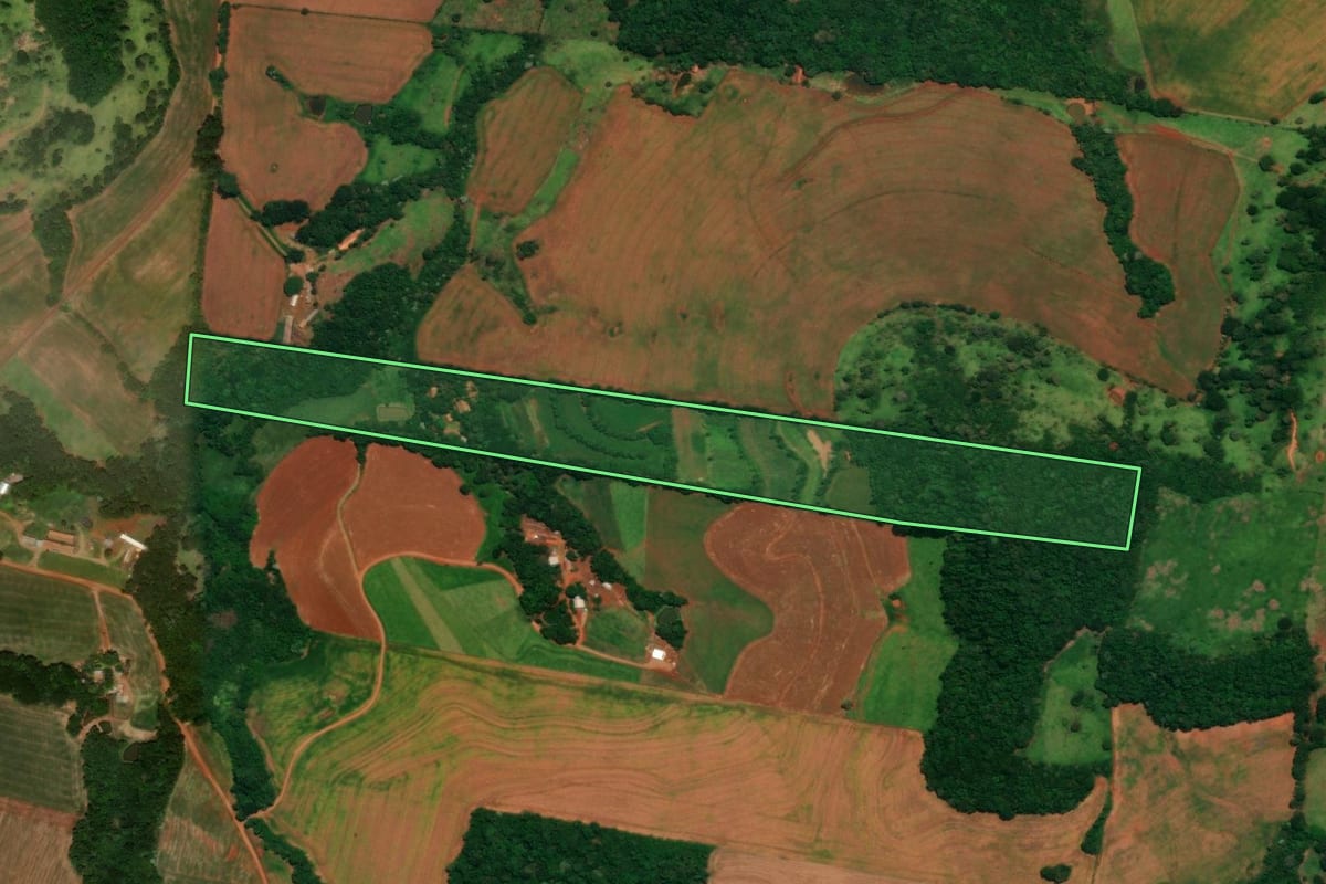 Imagem de satélite do imóvel rural em Guaraniaçu (PR), com o contorno declarado no CAR desenhado por cima.