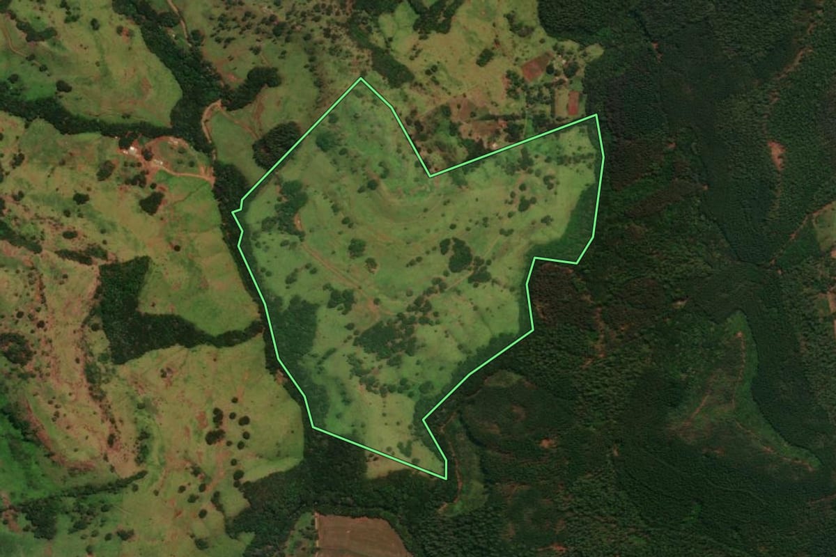 Imagem de satélite do imóvel rural em Guaraniaçu (PR), com o contorno declarado no CAR desenhado por cima.
