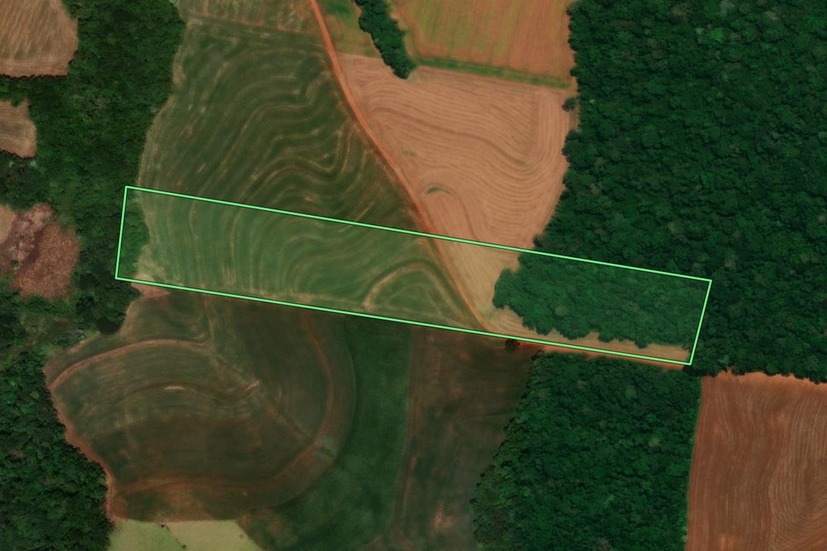 Imagem de satélite do imóvel rural em Guaraniaçu (PR), com o contorno declarado no CAR desenhado por cima.