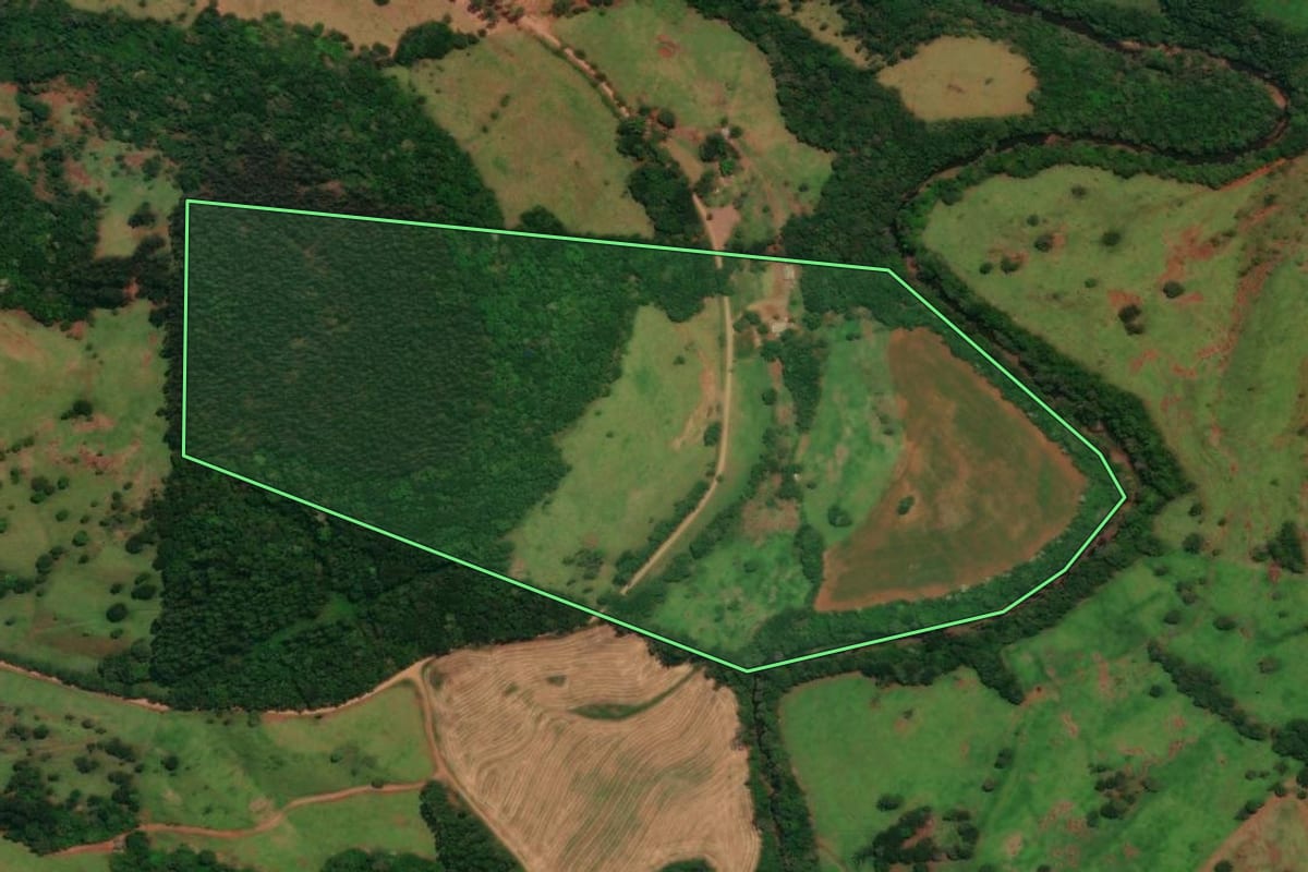 Imagem de satélite do imóvel rural em Guaraniaçu (PR), com o contorno declarado no CAR desenhado por cima.