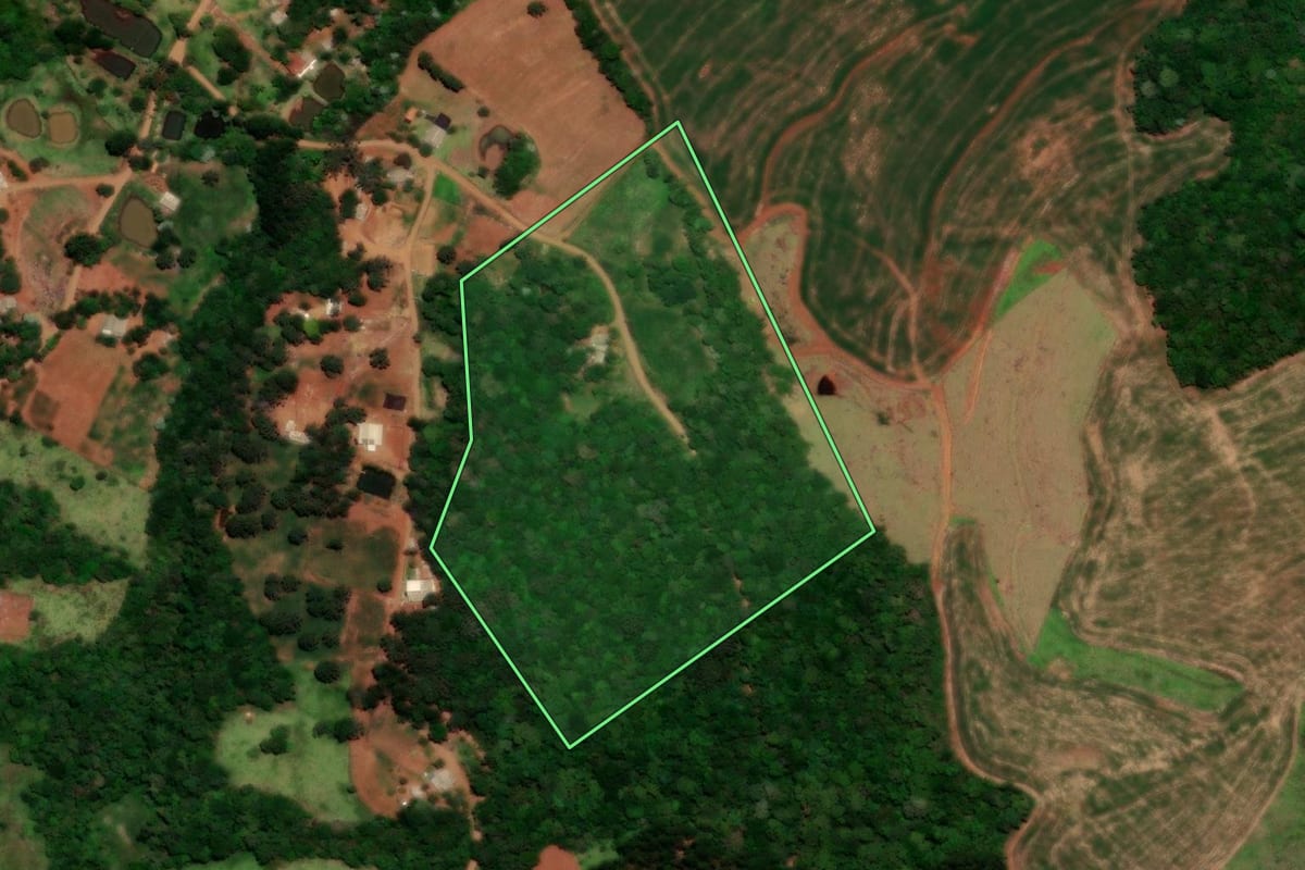 Imagem de satélite do imóvel rural em Guaraniaçu (PR), com o contorno declarado no CAR desenhado por cima.