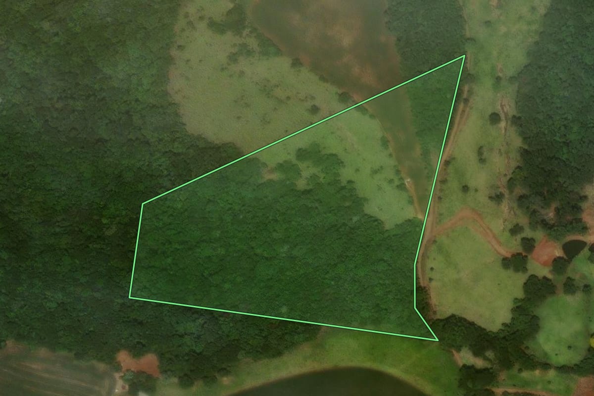 Imagem de satélite do imóvel rural em Guaraniaçu (PR), com o contorno declarado no CAR desenhado por cima.