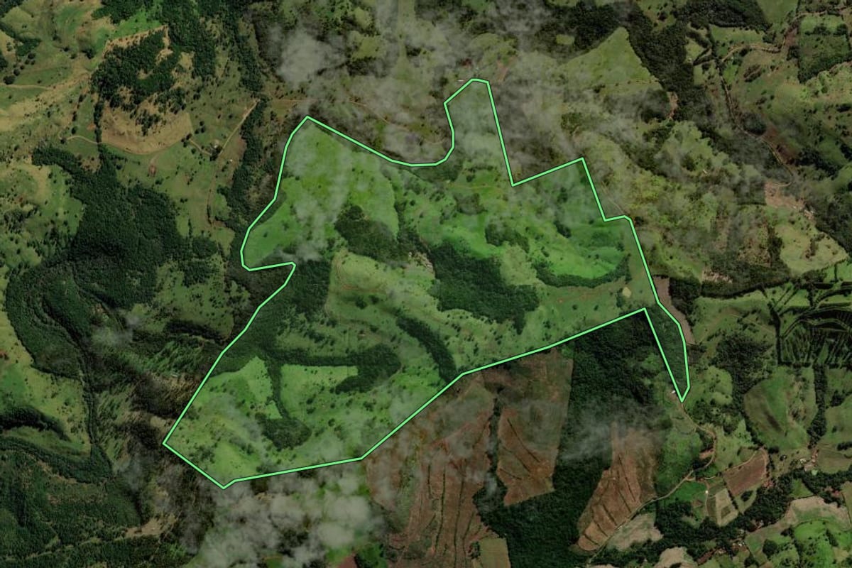 Imagem de satélite do imóvel rural em Guaraniaçu (PR), com o contorno declarado no CAR desenhado por cima.