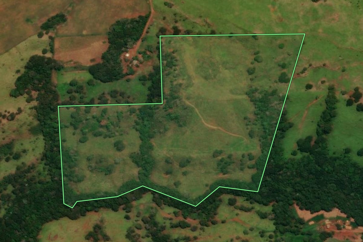 Imagem de satélite do imóvel rural em Guaraniaçu (PR), com o contorno declarado no CAR desenhado por cima.