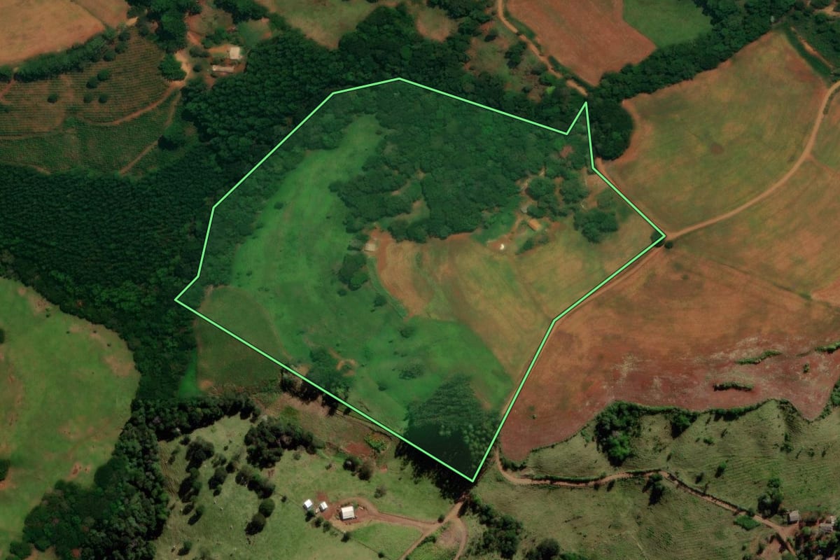 Imagem de satélite do imóvel rural em Guaraniaçu (PR), com o contorno declarado no CAR desenhado por cima.