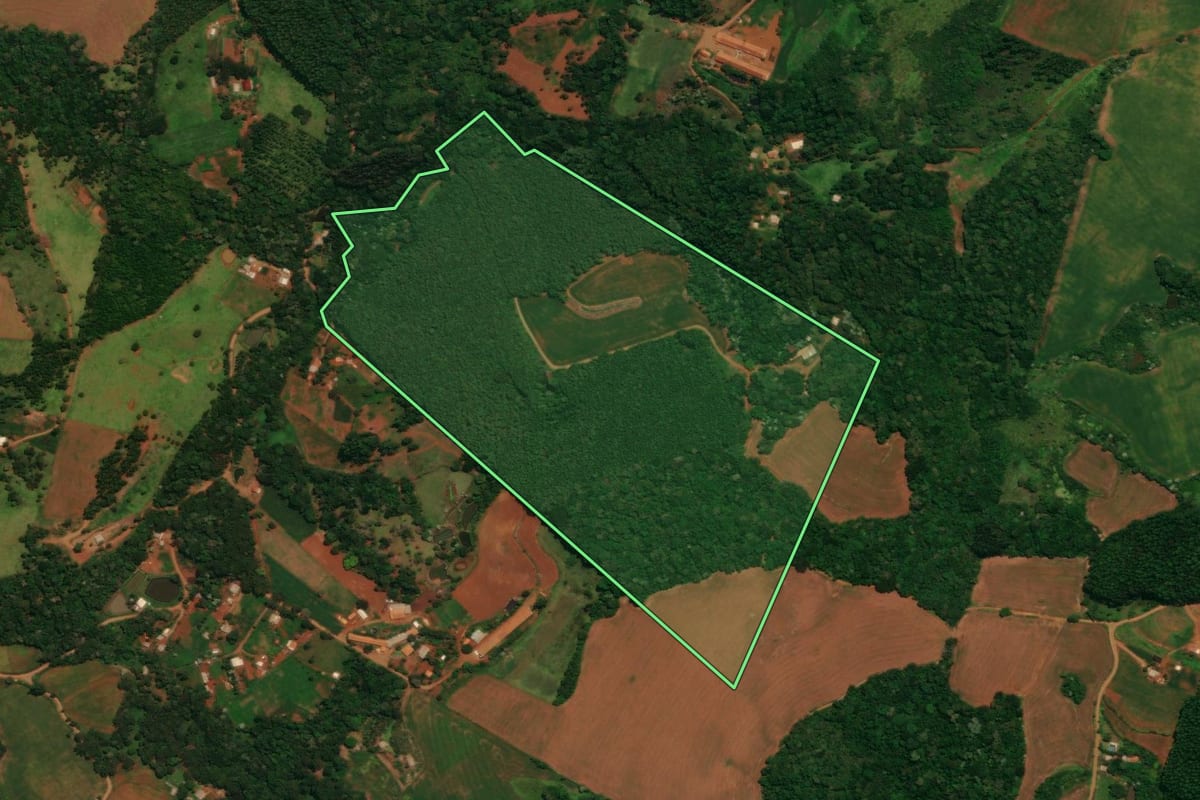 Imagem de satélite do imóvel rural em Guaraniaçu (PR), com o contorno declarado no CAR desenhado por cima.