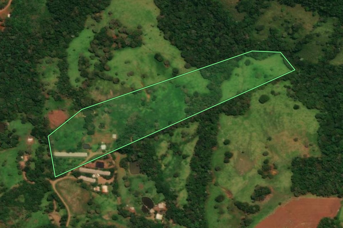 Imagem de satélite do imóvel rural em Guaraniaçu (PR), com o contorno declarado no CAR desenhado por cima.