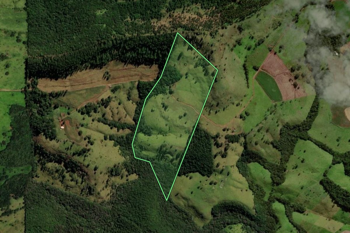 Imagem de satélite do imóvel rural em Guaraniaçu (PR), com o contorno declarado no CAR desenhado por cima.
