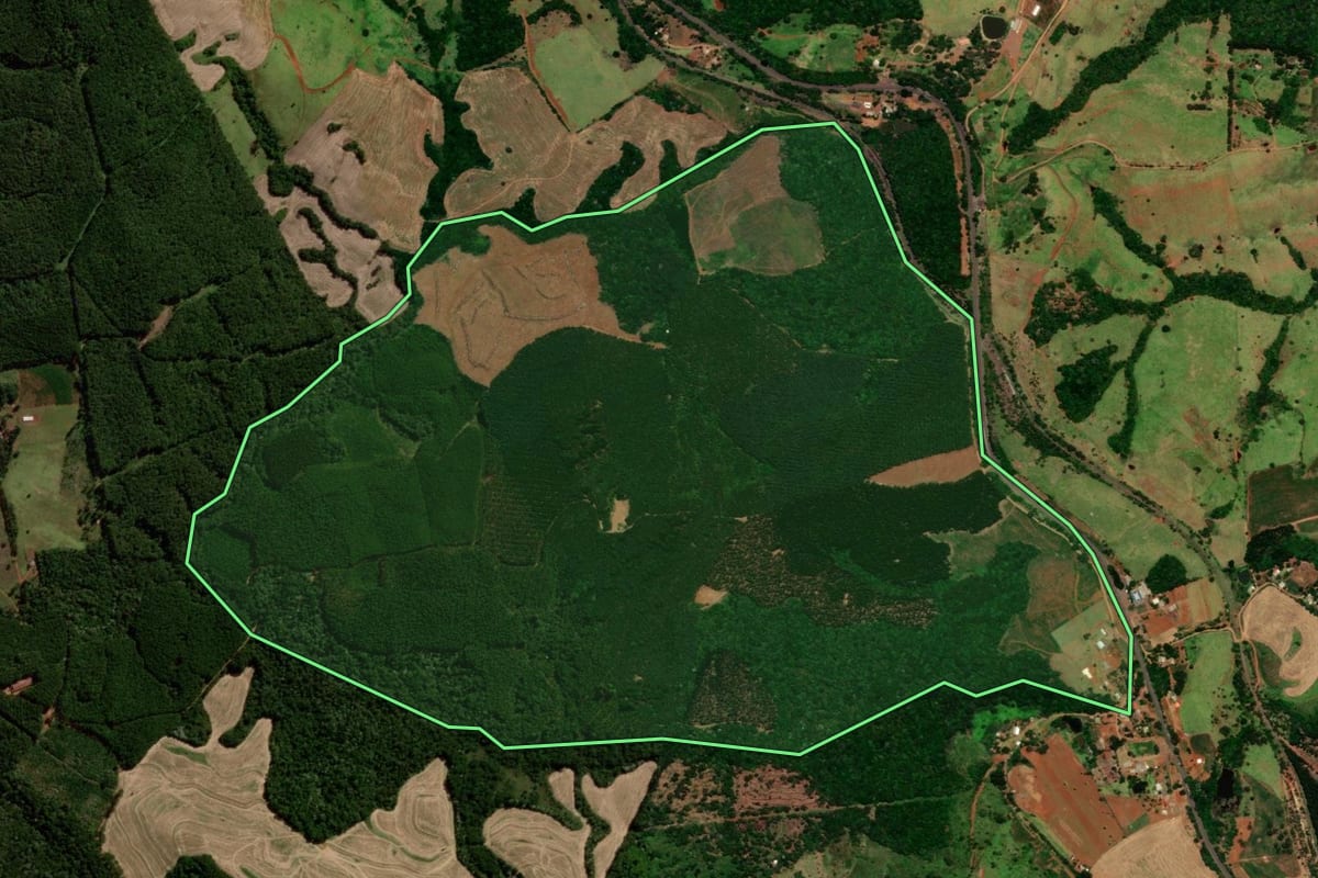 Imagem de satélite do imóvel rural em Guaraniaçu (PR), com o contorno declarado no CAR desenhado por cima.