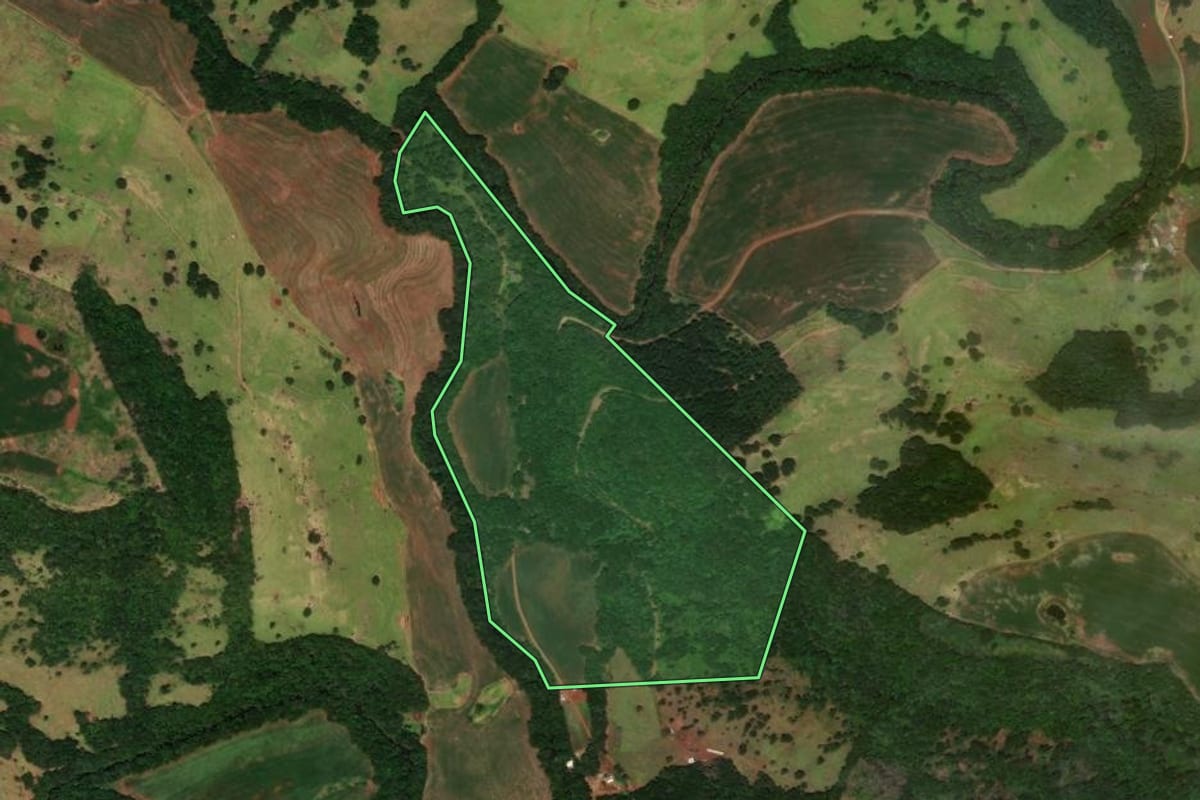 Imagem de satélite do imóvel rural em Guaraniaçu (PR), com o contorno declarado no CAR desenhado por cima.