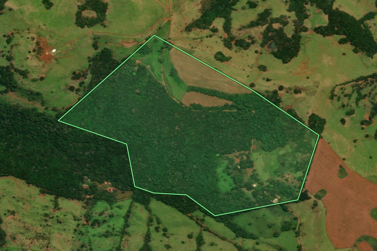 Imagem de satélite do imóvel rural em Guaraniaçu (PR), com o contorno declarado no CAR desenhado por cima.