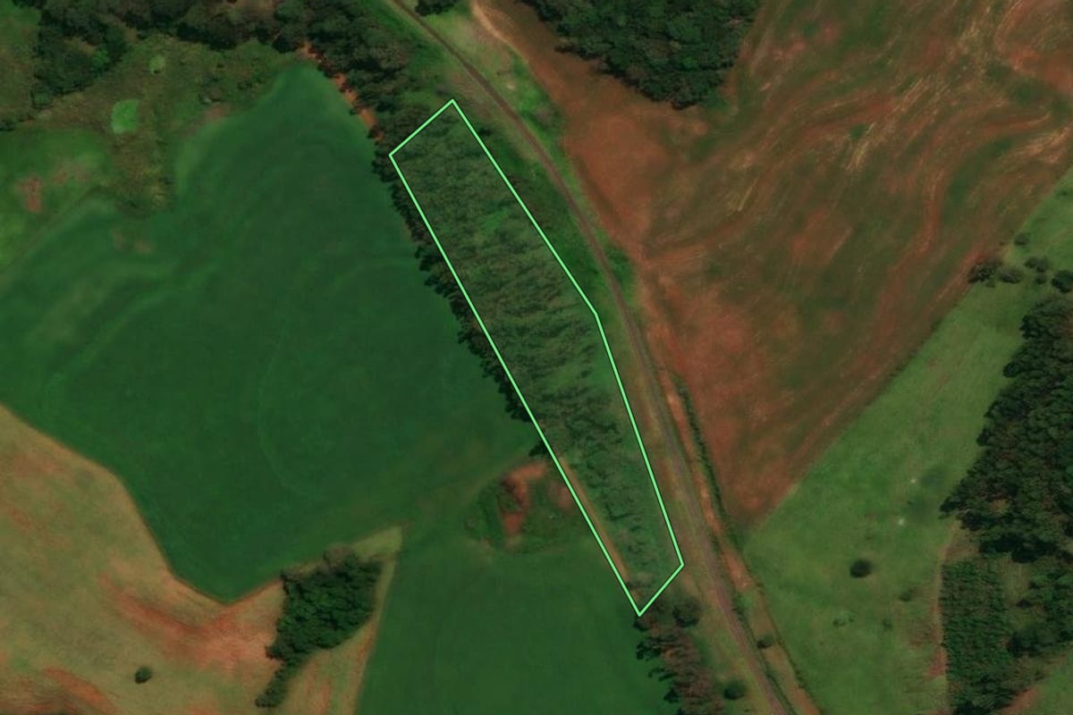 Imagem de satélite do imóvel rural em Guaraniaçu (PR), com o contorno declarado no CAR desenhado por cima.