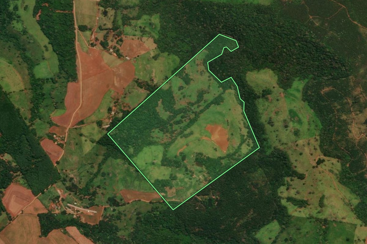 Imagem de satélite do imóvel rural em Guaraniaçu (PR), com o contorno declarado no CAR desenhado por cima.