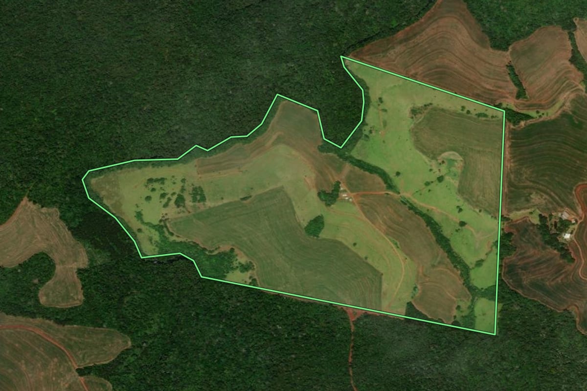 Imagem de satélite do imóvel rural em Guaraniaçu (PR), com o contorno declarado no CAR desenhado por cima.