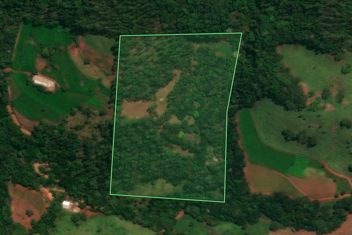 Imagem de satélite do imóvel rural em Guaraniaçu (PR), com o contorno declarado no CAR desenhado por cima.