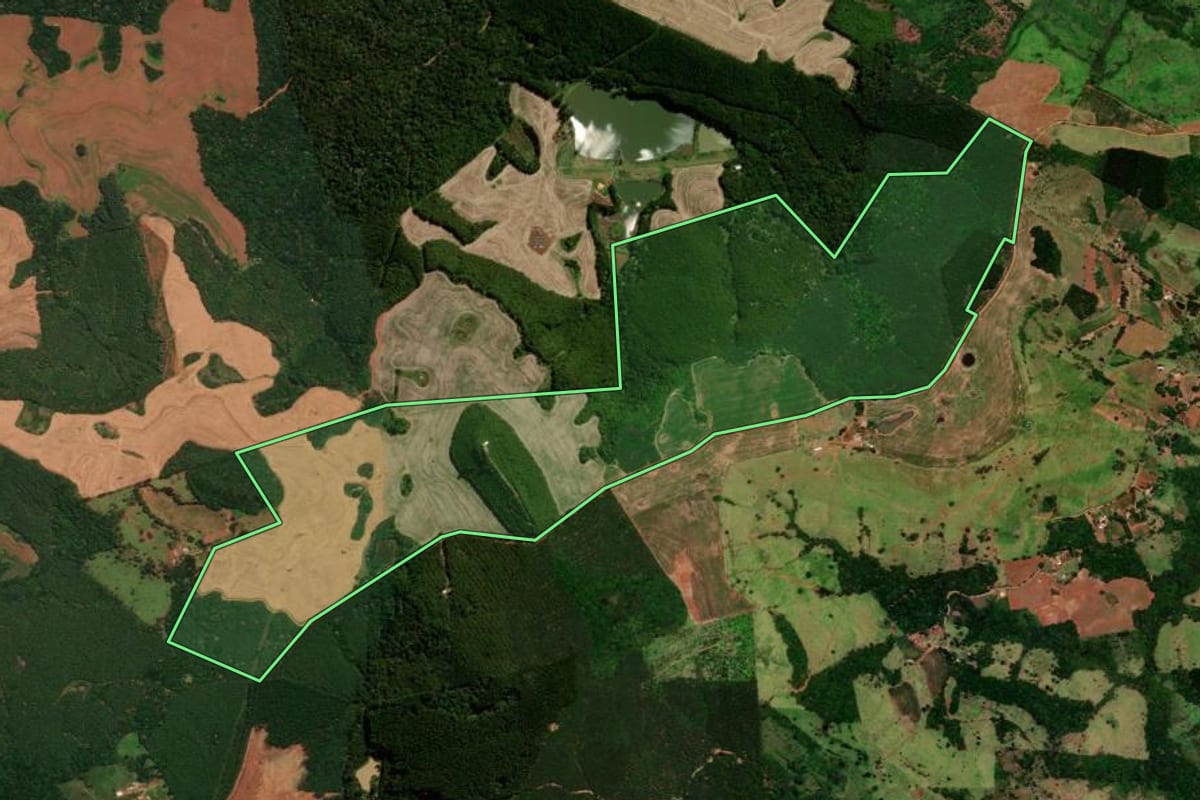 Imagem de satélite do imóvel rural em Guaraniaçu (PR), com o contorno declarado no CAR desenhado por cima.