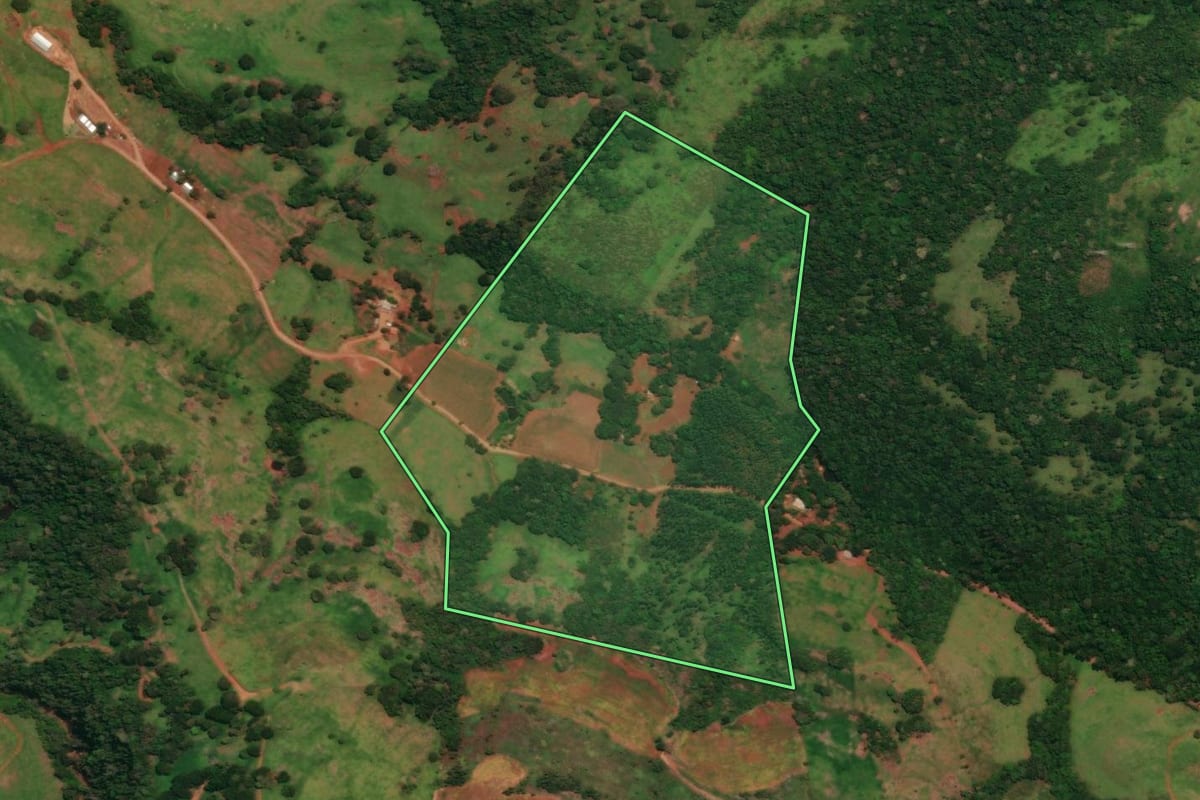 Imagem de satélite do imóvel rural em Guaraniaçu (PR), com o contorno declarado no CAR desenhado por cima.
