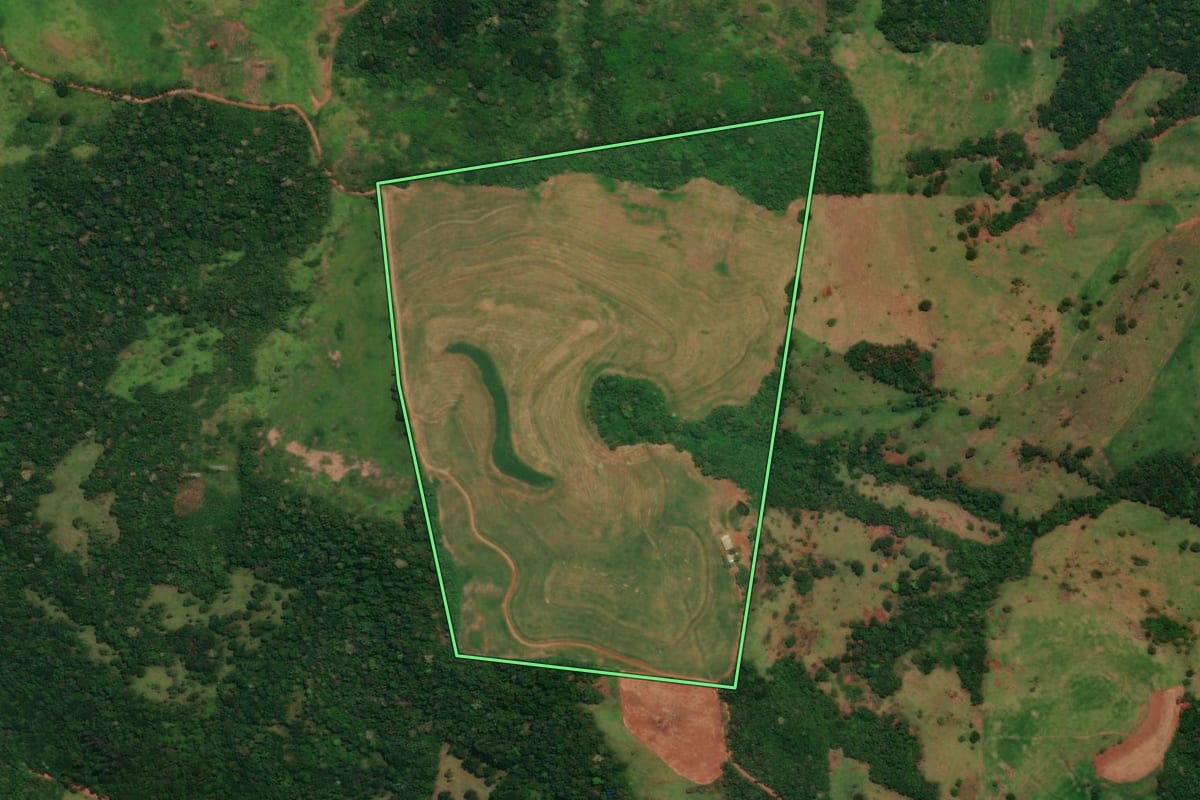 Imagem de satélite do imóvel rural em Guaraniaçu (PR), com o contorno declarado no CAR desenhado por cima.