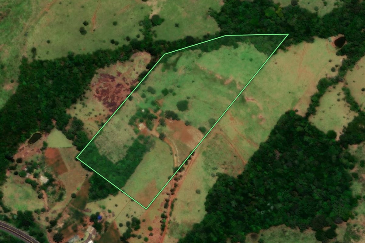 Imagem de satélite do imóvel rural em Guaraniaçu (PR), com o contorno declarado no CAR desenhado por cima.