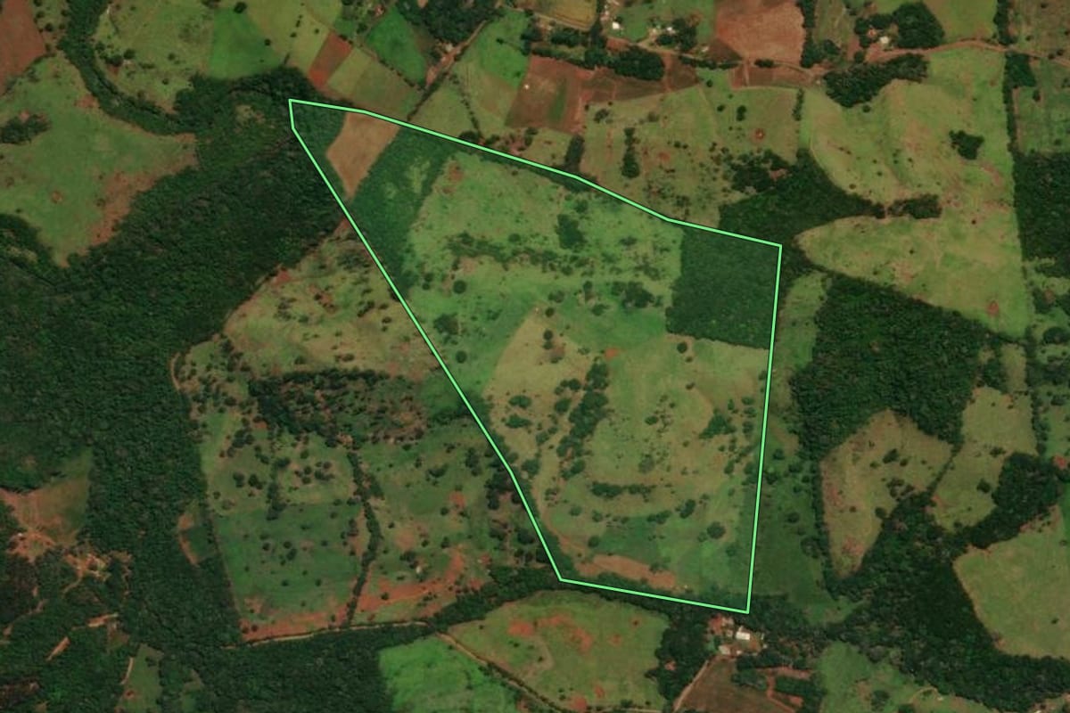 Imagem de satélite do imóvel rural em Guaraniaçu (PR), com o contorno declarado no CAR desenhado por cima.