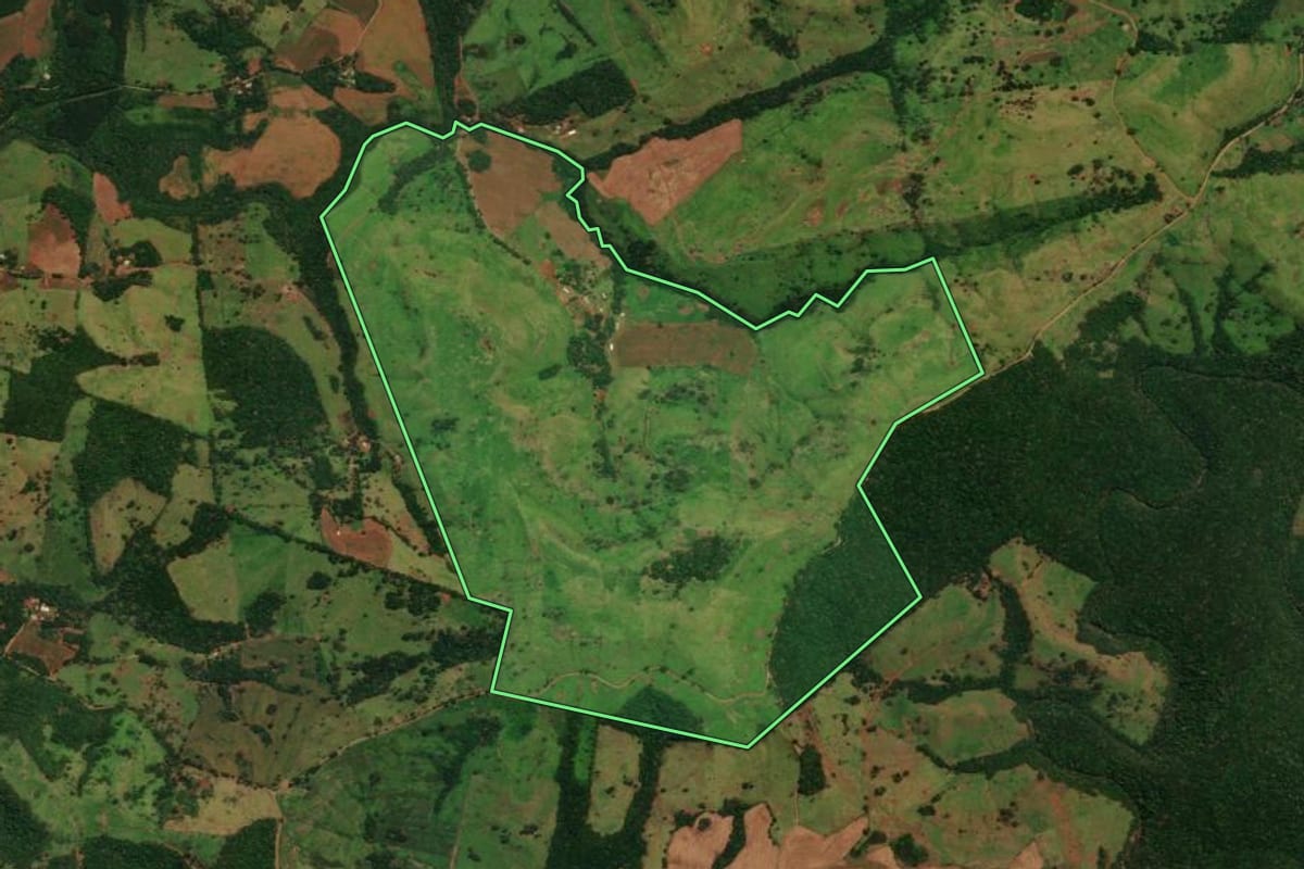 Imagem de satélite do imóvel rural em Guaraniaçu (PR), com o contorno declarado no CAR desenhado por cima.