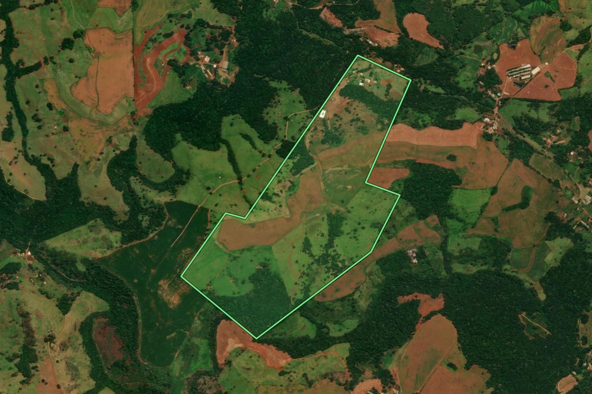 Imagem de satélite do imóvel rural em Guaraniaçu (PR), com o contorno declarado no CAR desenhado por cima.