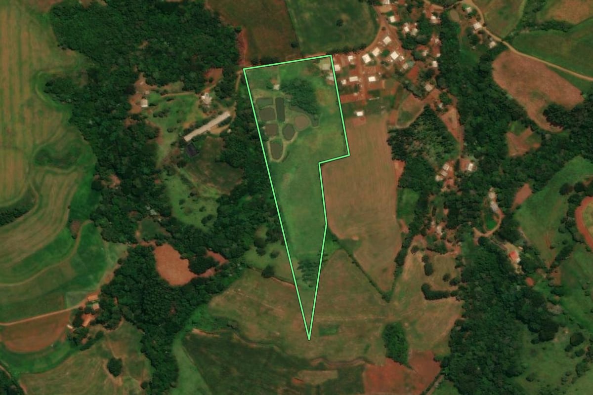Imagem de satélite do imóvel rural em Guaraniaçu (PR), com o contorno declarado no CAR desenhado por cima.