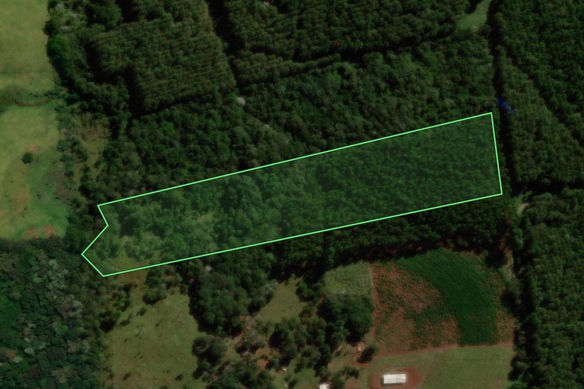 Imagem de satélite do imóvel rural em Guaraniaçu (PR), com o contorno declarado no CAR desenhado por cima.