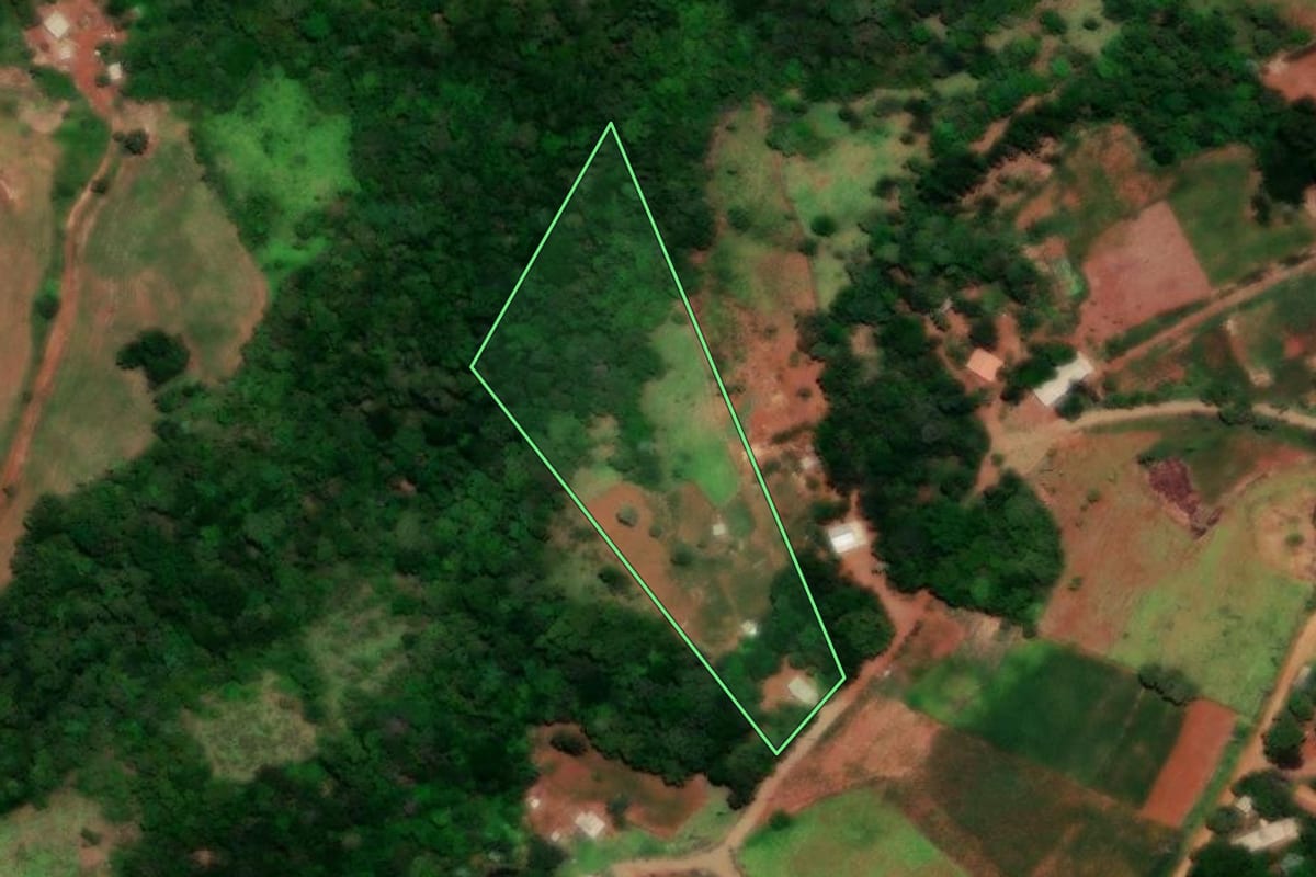 Imagem de satélite do imóvel rural em Guaraniaçu (PR), com o contorno declarado no CAR desenhado por cima.