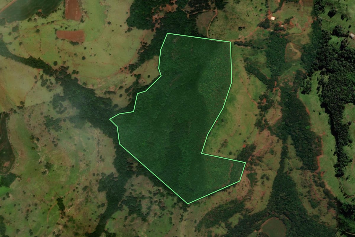 Imagem de satélite do imóvel rural em Guaraniaçu (PR), com o contorno declarado no CAR desenhado por cima.