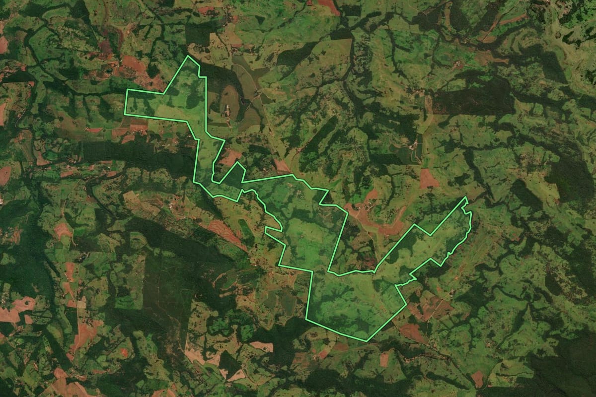 Imagem de satélite do imóvel rural em Guaraniaçu (PR), com o contorno declarado no CAR desenhado por cima.