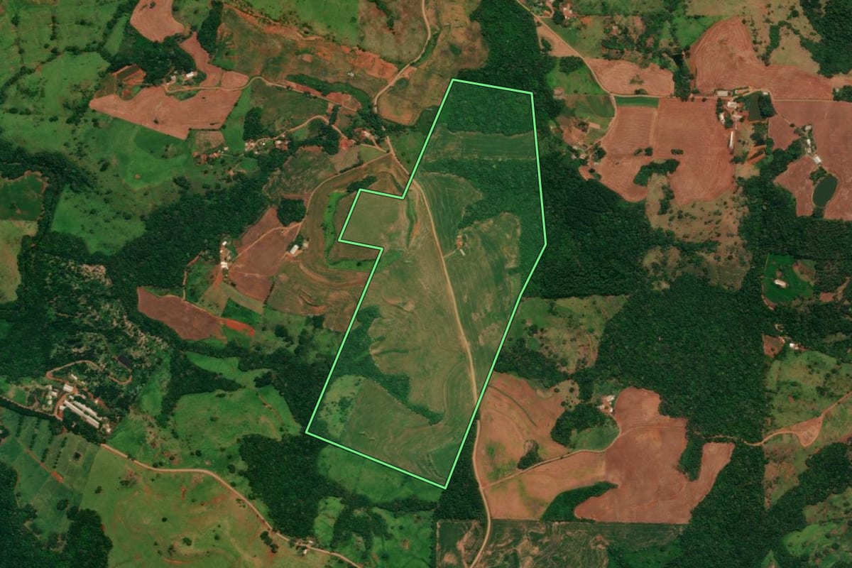 Imagem de satélite do imóvel rural em Guaraniaçu (PR), com o contorno declarado no CAR desenhado por cima.