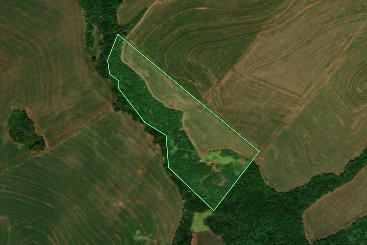Imagem de satélite do imóvel rural em Guaraniaçu (PR), com o contorno declarado no CAR desenhado por cima.