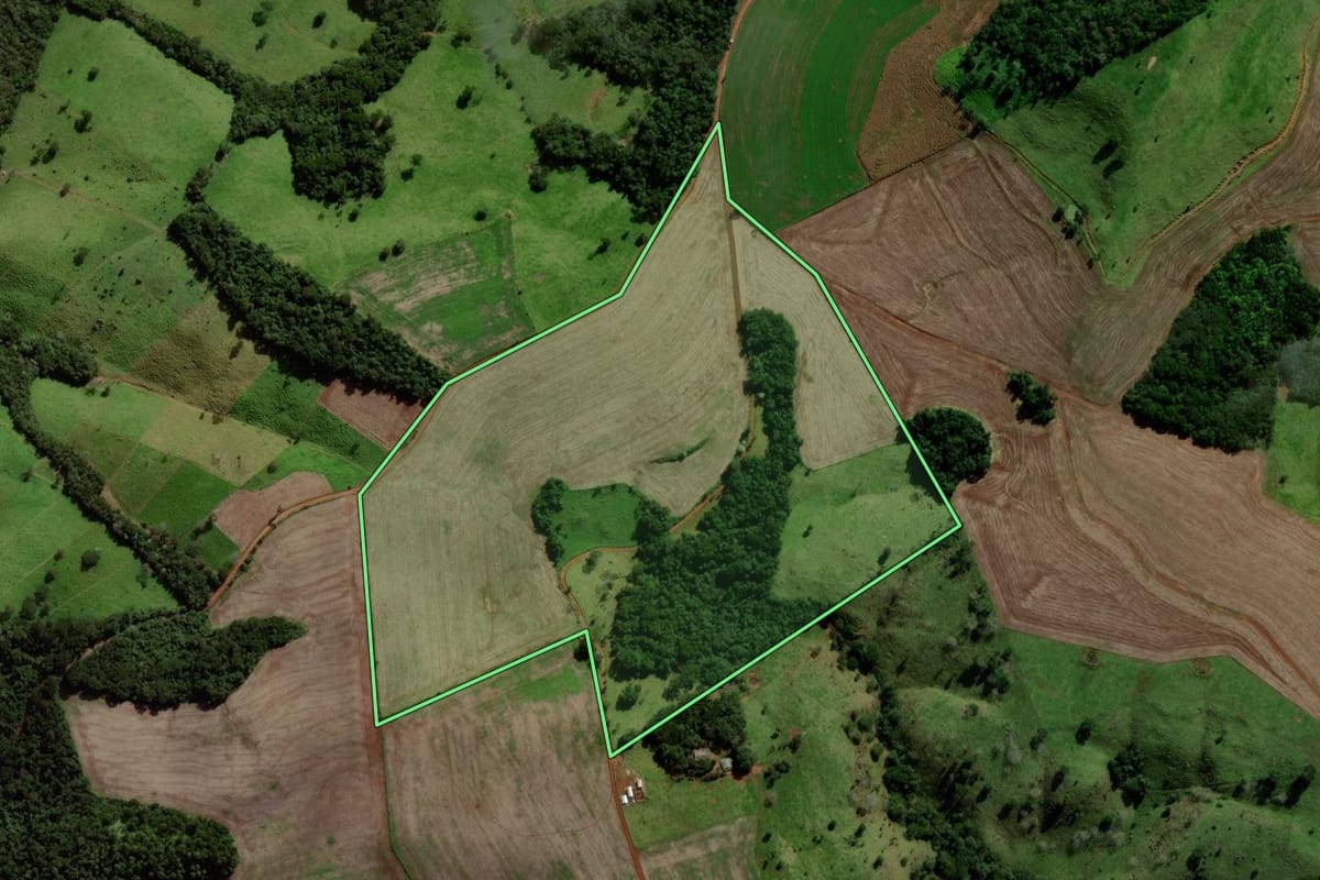 Imagem de satélite do imóvel rural em Guaraniaçu (PR), com o contorno declarado no CAR desenhado por cima.