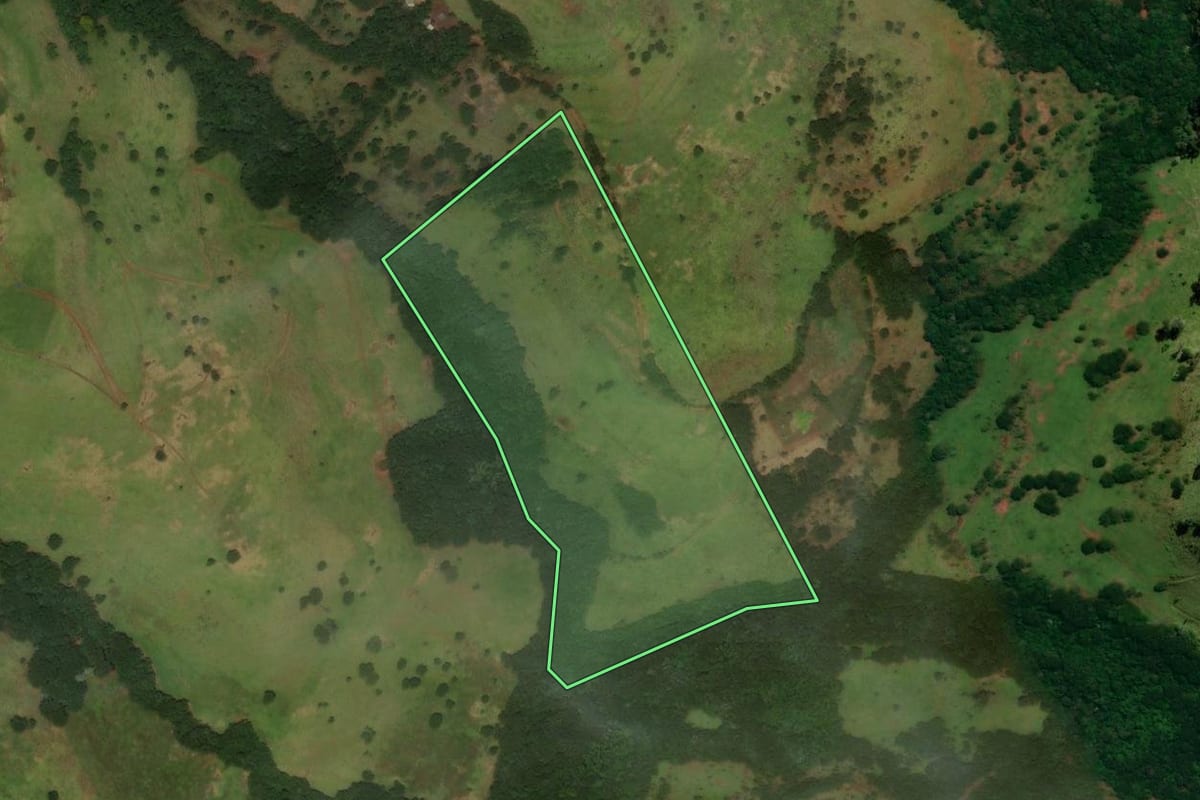 Imagem de satélite do imóvel rural em Guaraniaçu (PR), com o contorno declarado no CAR desenhado por cima.