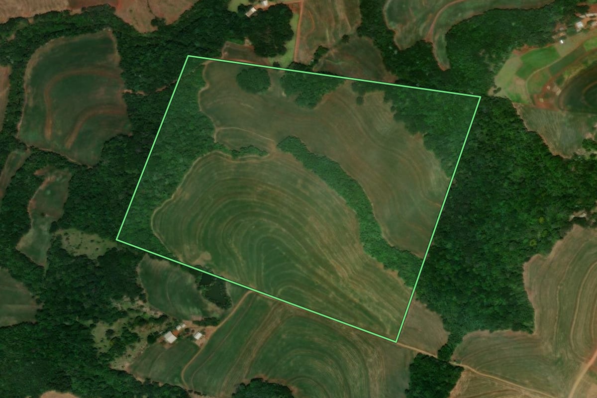 Imagem de satélite do imóvel rural em Guaraniaçu (PR), com o contorno declarado no CAR desenhado por cima.