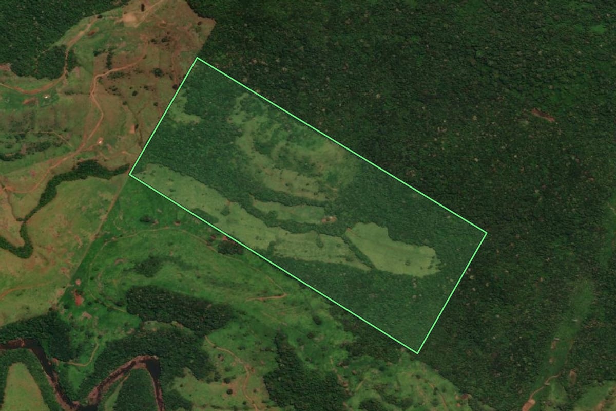 Imagem de satélite do imóvel rural em Guaraniaçu (PR), com o contorno declarado no CAR desenhado por cima.